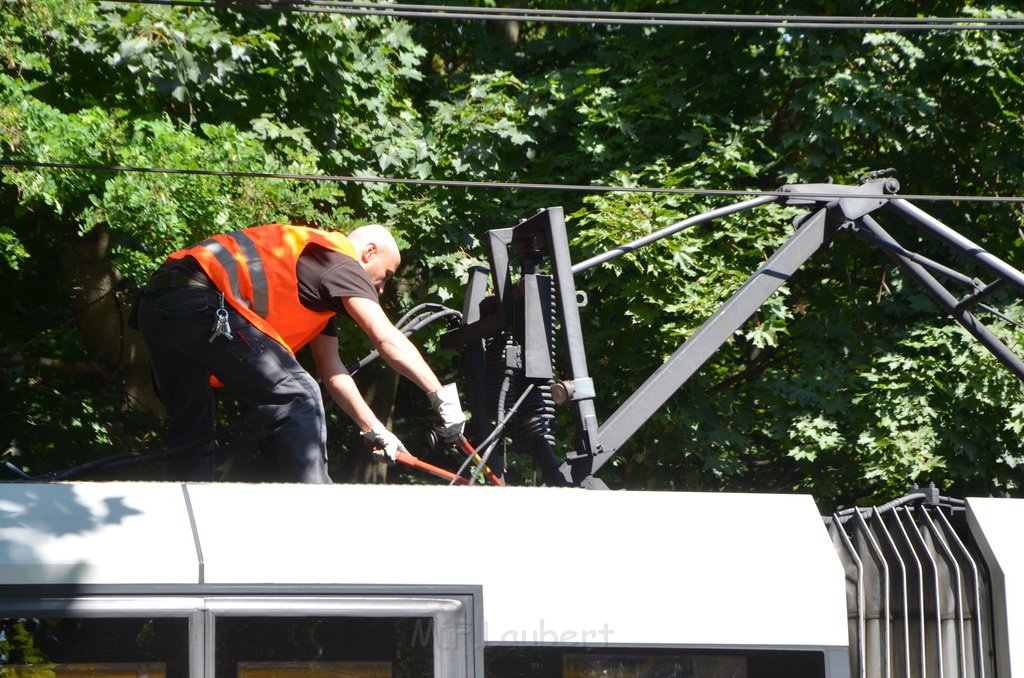 KVB Bahn defekt Koeln Buchheim Heidelbergerstr P53.JPG - Miklos Laubert